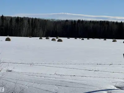 Here is a great opportunity to own 126.31 acres of fenced land within 5 minutes of town. A great opp...