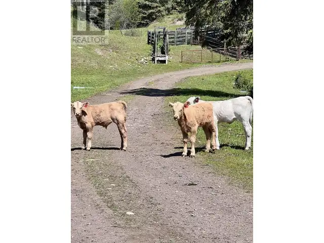 COLLEYMOUNT ROAD Burns Lake, British Columbia in Land for Sale in Burns Lake - Image 35
