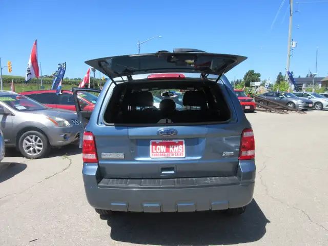 2011 Ford Escape XLT5665353191719116813