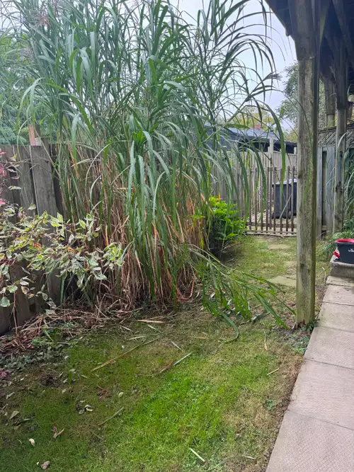 Well located in Port Stanley. This small apartment is close to the beach and walking distance to dow...