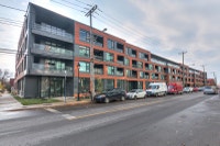 Espace de détail à louer-Retail spaces for rent-commercial spaces, new offices, Restaurant-Magasin-E... (image 6)