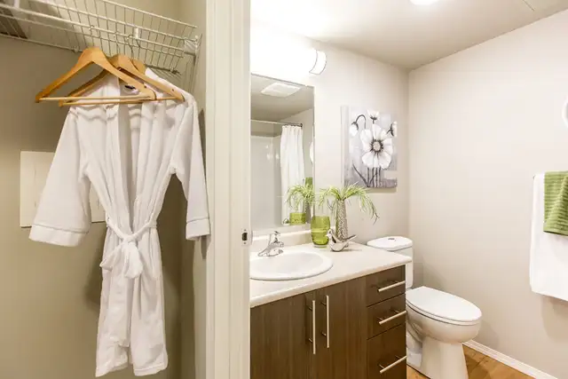 Pet-Friendly One Bedroom One Bath with In-suite Laundry for Rent in Long Term Rentals in Edmonton - Image 14