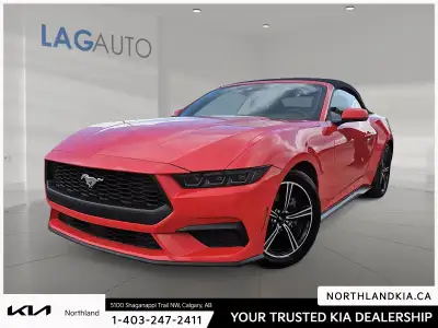 2025 Ford Mustang EcoBoost Premium Odometer is 1188 kilometers below market average! Ready for anyth...