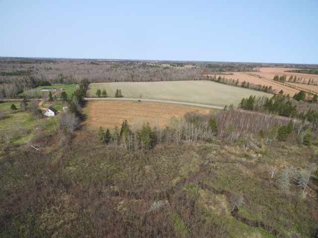 2 acre parcel of land Central Kildare in Land for Sale in Summerside - Image 3