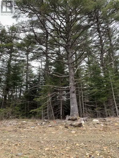 Ever thought of off grid living? Maybe even off grid campground ... Look no further ... Here is the...