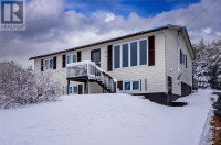 16 Valleyview Crescent Conception Bay South, Newfoundland & Labr