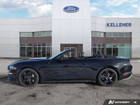 Feel the unadulterated power and freedom of the 2022 Ford Mustang GT Premium Convertible, an exhilar... (image 1)