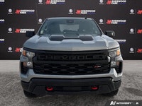 Come see this 2024 Chevrolet Silverado 1500 Custom Trail Boss before it's too late! *You Can't Beat... (image 8)