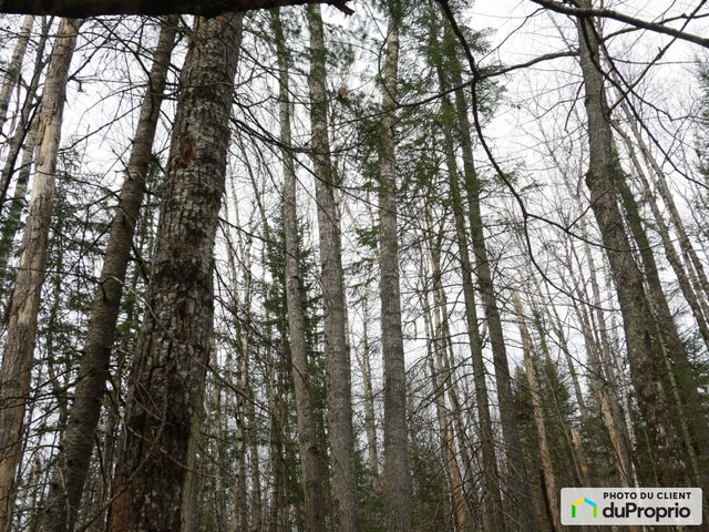 $199,000 - Residential Lot for sale in Mandeville — photo 3