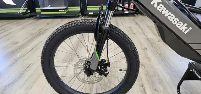 2025 Kawasaki ELEKTRODE 20 in Street, Cruisers & Choppers in Medicine Hat - Image 9