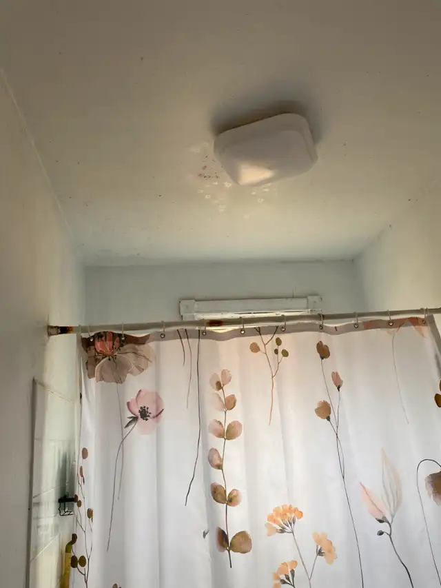 Bathroom & Wall Repair – Mold, Peeling Paint, and Full Repaintin62863716038018123