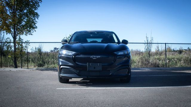 2021 Ford Mustang Mach-E Premium in Cars & Trucks in Edmonton - Image 4
