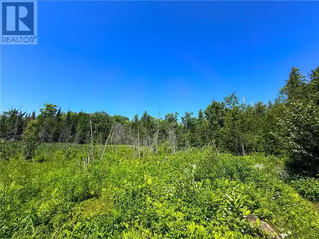 514C East Road Mindemoya, Manitoulin Island, Ontario in Land for Sale in Sudbury - Image 12