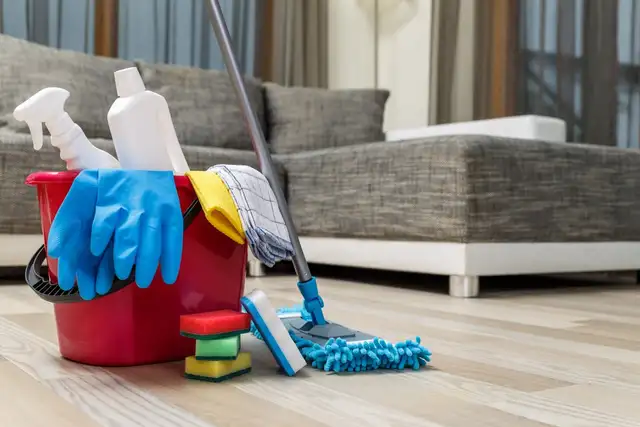Light or Deep CLEANING (Home, Office, etc)