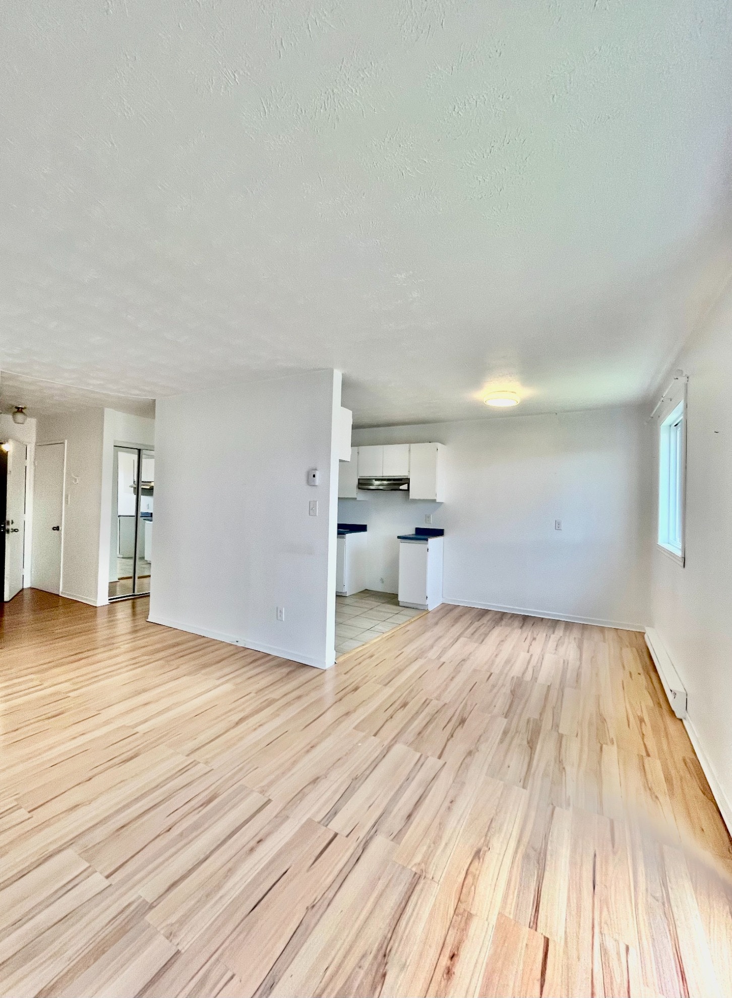 292 rue Bonneau — photo 2