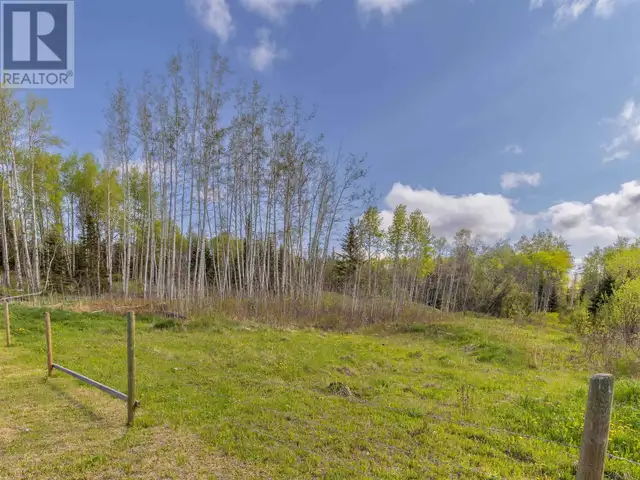 16575 DECEPTION LAKE FOREST SERVICE ROAD Telkwa, British Columbi in Houses for Sale in Smithers - Image 17