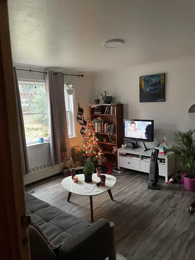 51 Riverside Drive - 1 Bedroom 1 Bathroom Apartment for Rent in Long Term Rentals in Sudbury - Image 5