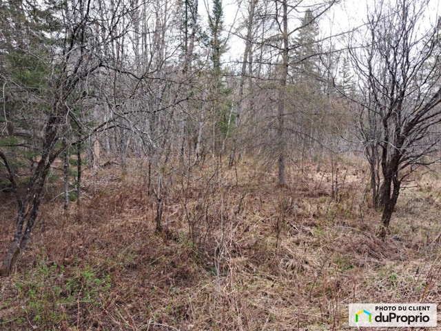 $110,000 - Residential Lot for sale in Mont-Tremblant — photo 2