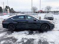 300h|Leather|Sunroof|CarPlay|No Accidents 2025 Lexus ES 300h 300h|Leather|Sunroof|CarPlay|No Acciden... (image 8)