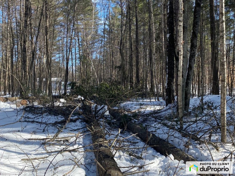 40 000 Terrain résidentiel à vendre à Messines Land for Sale