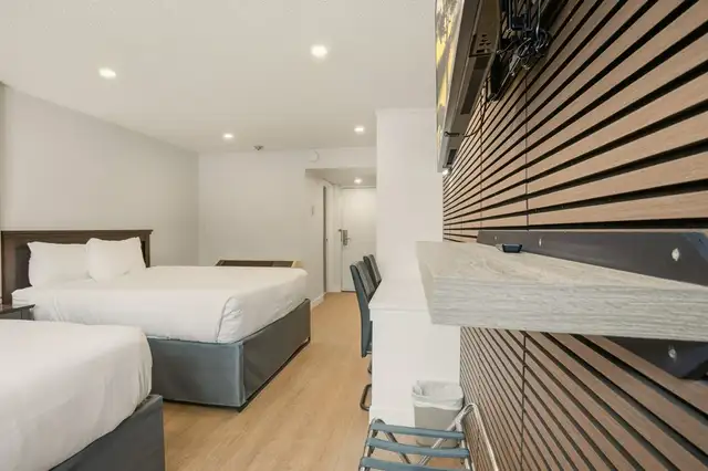 Photo 12