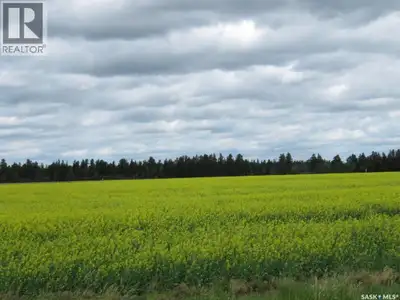 Youkan Developments Subdivision has residential lots available 1 mile East of Nipawin. The convenien...