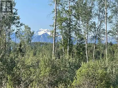 131 acre property located between Smithers and Hazelton. Incredible views of surrounding mountain ra...