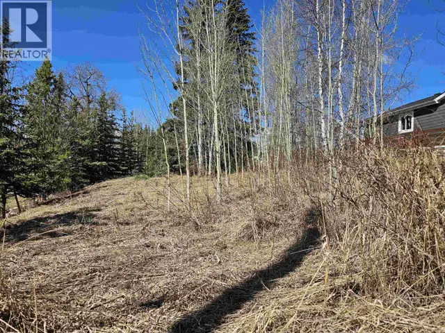 101 5TH AVENUE Burns Lake, British Columbia in Land for Sale in Burns Lake - Image 8