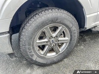 Check out this 2025 Ford F-150 XLT before it's too late! *Get Your Money's Worth for this Ford F-150... (image 8)