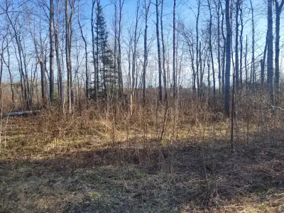 Premium building lot, 1.92 acres on a year-round road outside of Mattawa. Water runs thru it. Perfec...