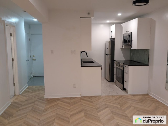 $315,000 - Condominium for sale in Le Plateau-Mont-Royal — photo 2