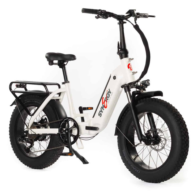 Vintage Iron Cycles - Electric Bikes in eBike in Red Deer - Image 3