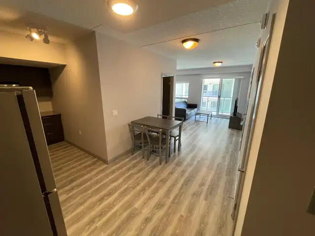 SHORT TERM RENTAL - Luxury Spacious & Furnished Student/Young Pr in Long Term Rentals in Kitchener / Waterloo - Image 5