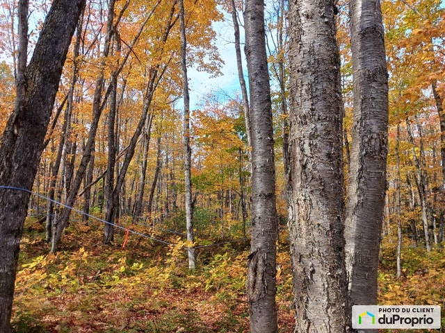 $64,990 - Residential Lot for sale in St-Fabien-De-Panet — photo 1