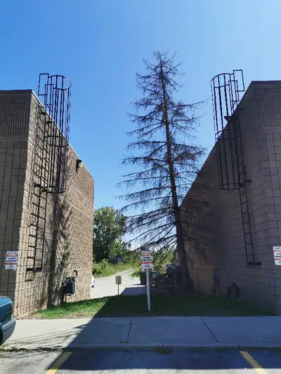 Fixed roof access ladders, walk through cage ladders, parapet ladders/return, parking lot bollards,...