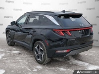 BLACK, LEATHER SEAT TRIM, ASH BLACK, Wireless Phone Connectivity, Wheels: 19 x 7.5J Aluminum, Wheels... (image 3)