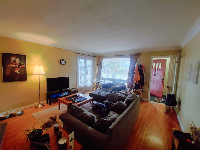 THREE BEDROOM, CENTRAL KINGSTON APARTMENT - 581-1 Portsmouth Ave in Long Term Rentals in Kingston - Image 3