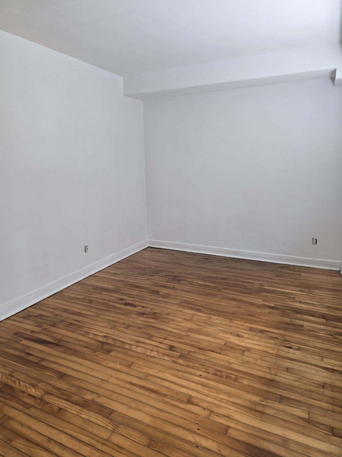 Grand 3 1/2 Mercier lumineux ( mois de juillet gratuit) — photo 3
