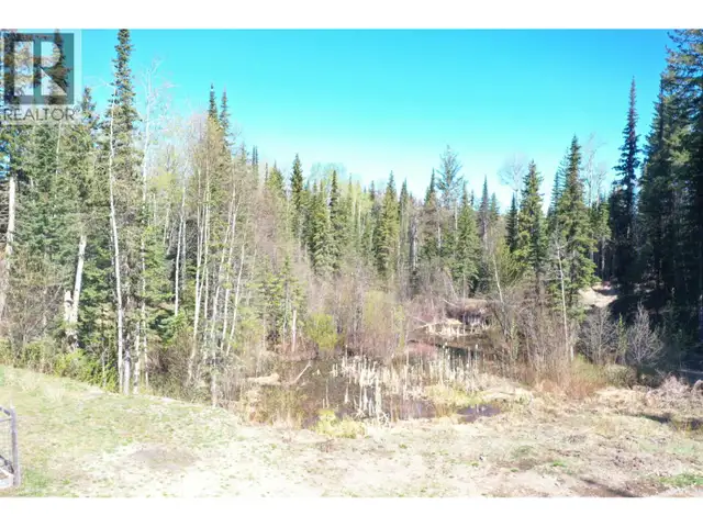 3865 BLUE RIDGE ROAD Quesnel, British Columbia in Land for Sale in Quesnel - Image 11