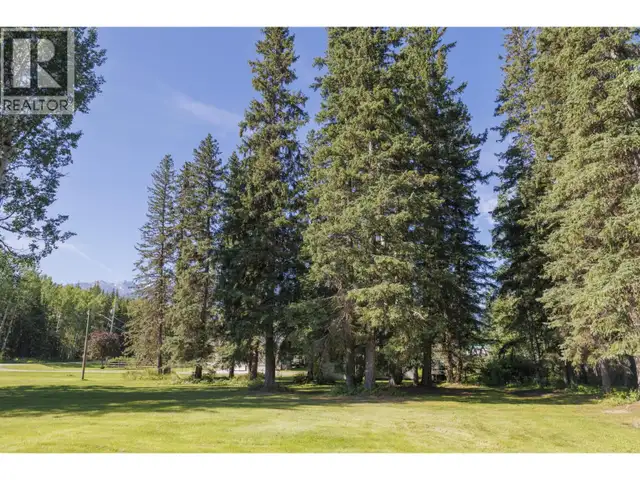 849 BRIDGE ROAD McBride, British Columbia in Land for Sale in Quesnel - Image 9