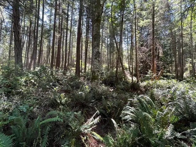GULF ISLAND BC– OFF-GRID LAND STEWARDSHIP & LIVING OPPORTUNITY in Storage & Parking for Rent in Nanaimo - Image 7
