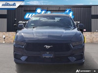 Look at this certified 2025 Ford Mustang EcoBoost Premium | Leather | Heated Wheel + Seats | CarPlay... (image 7)
