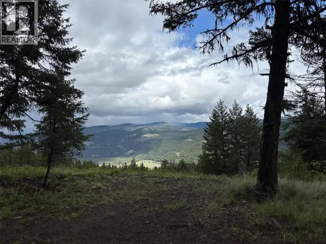 Lot 3 Hulme Creek Road Rock Creek, British Columbia in Land for Sale in Penticton - Image 3