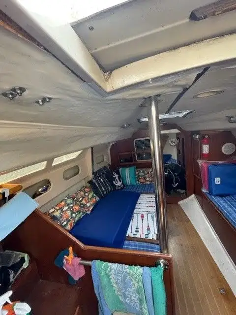 1981 EDEL 820 in Sailboats in Norfolk County - Image 9