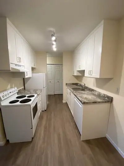 Fully renovated garden level walk out 1 bedroom suite!! With accessible shower installed! Perfect fo...