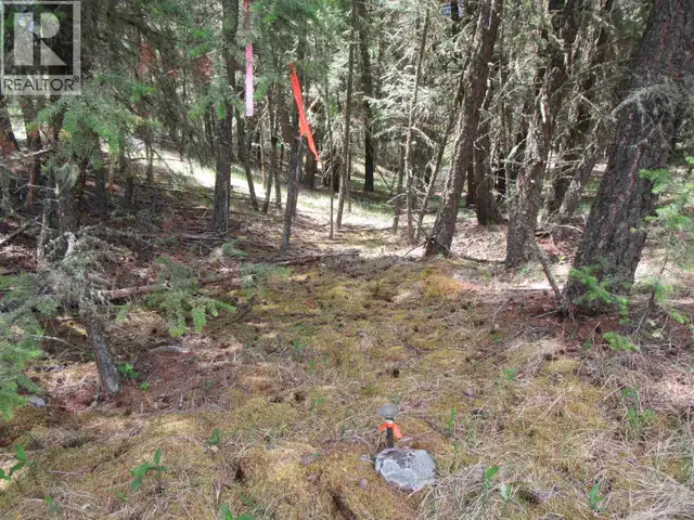 DL 2808 DONOVAN ROAD Lac La Hache, British Columbia in Land for Sale in 100 Mile House - Image 6