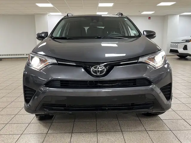 2018 Toyota RAV4 LE602770014974126087