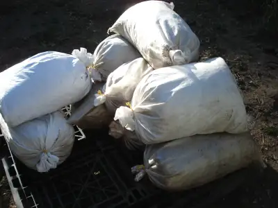 Organic rabbit manure rabbits are fed organic pellets and hay ( there are no seeds in the manure and...
