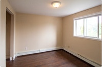 Comfortable 3-Bedroom Student Apartment at 24 Elm Street Available ASAP! Find your ideal student hou... (image 2)
