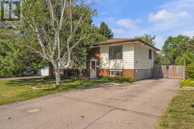 MAIN - 599 OTONABEE DRIVE Peterborough (Ashburnham Ward 4), Onta in Long Term Rentals in Peterborough - Image 2